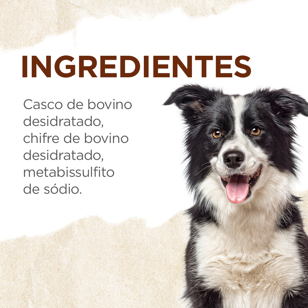 MIX CASCO E CHIFRE BOVINO