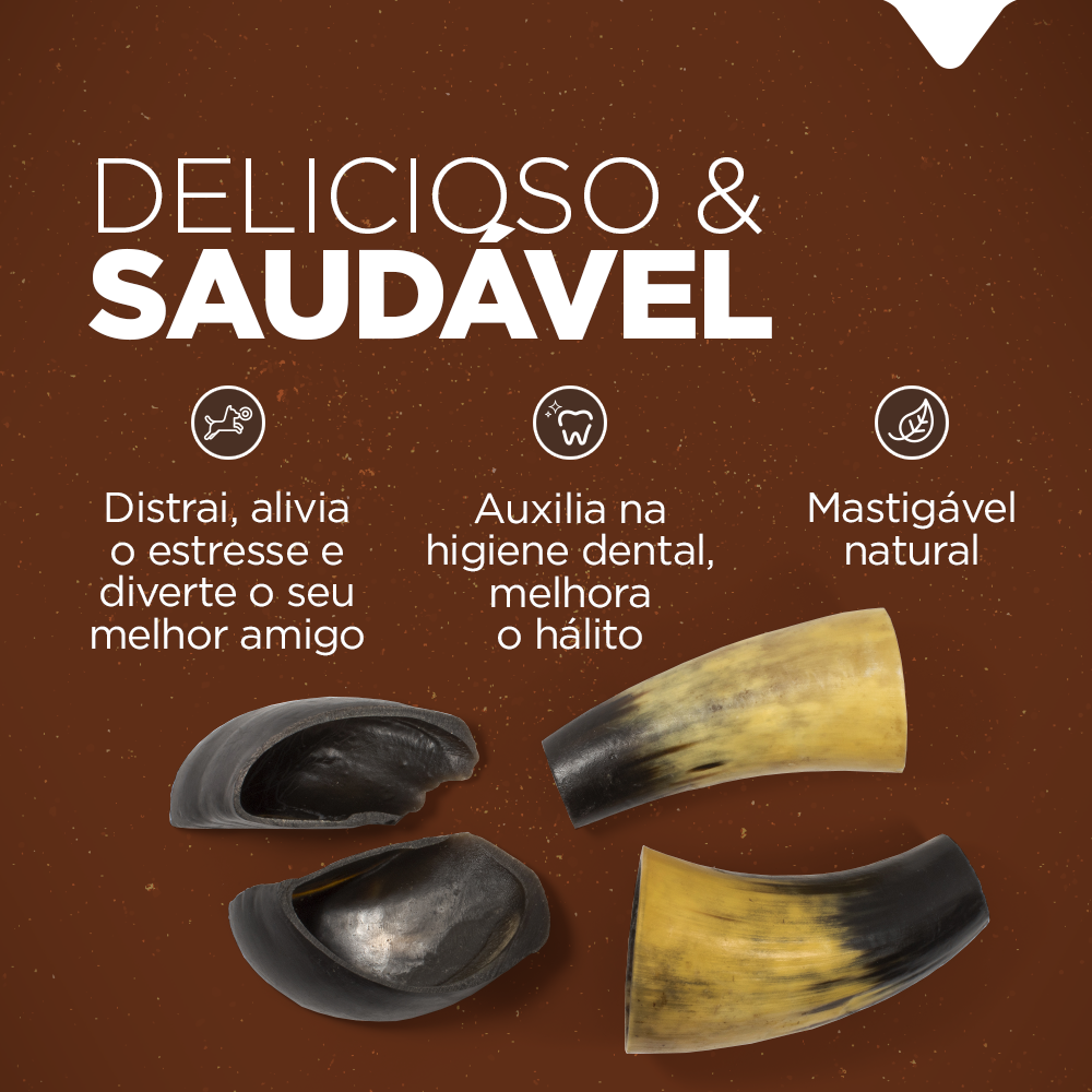 MIX CASCO E CHIFRE BOVINO