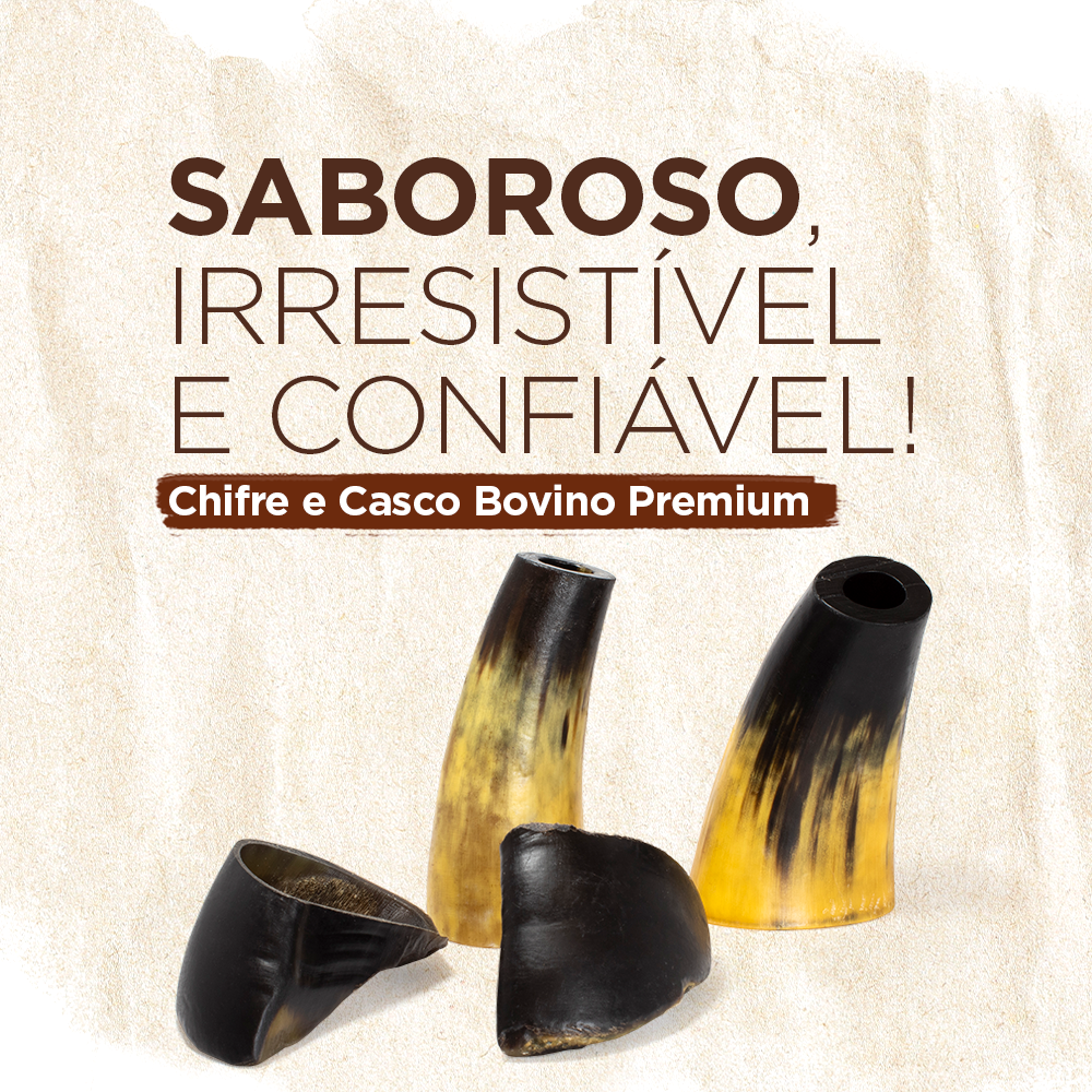 MIX CASCO E CHIFRE BOVINO