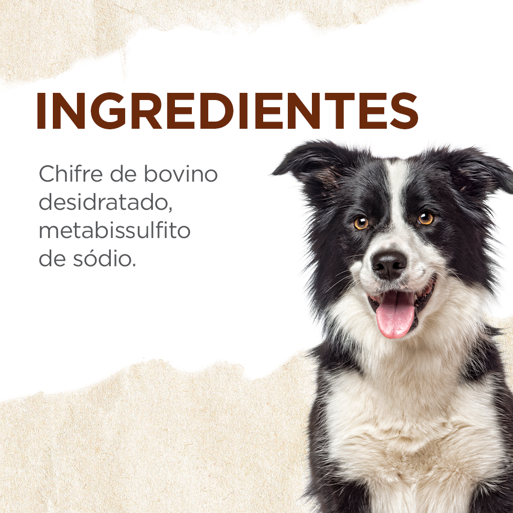 CHIFRE BOVINO
