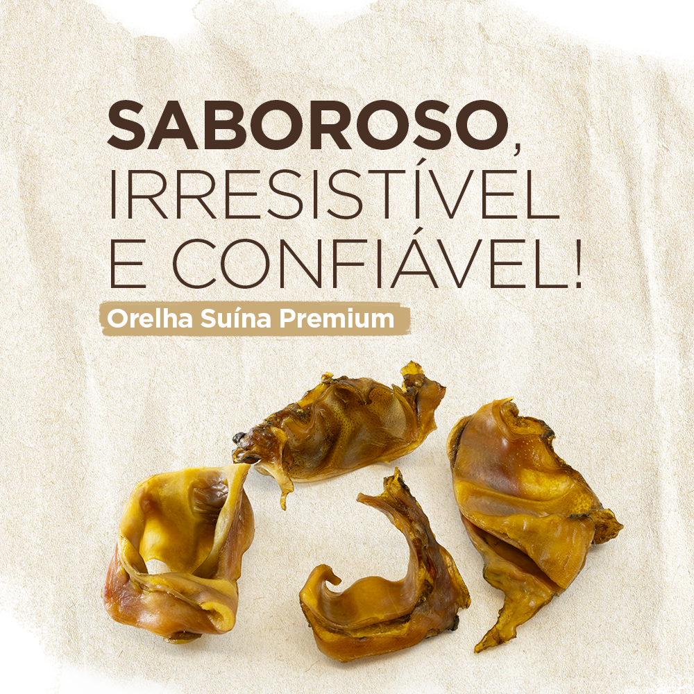 BITES DE ORELHA SUÍNA