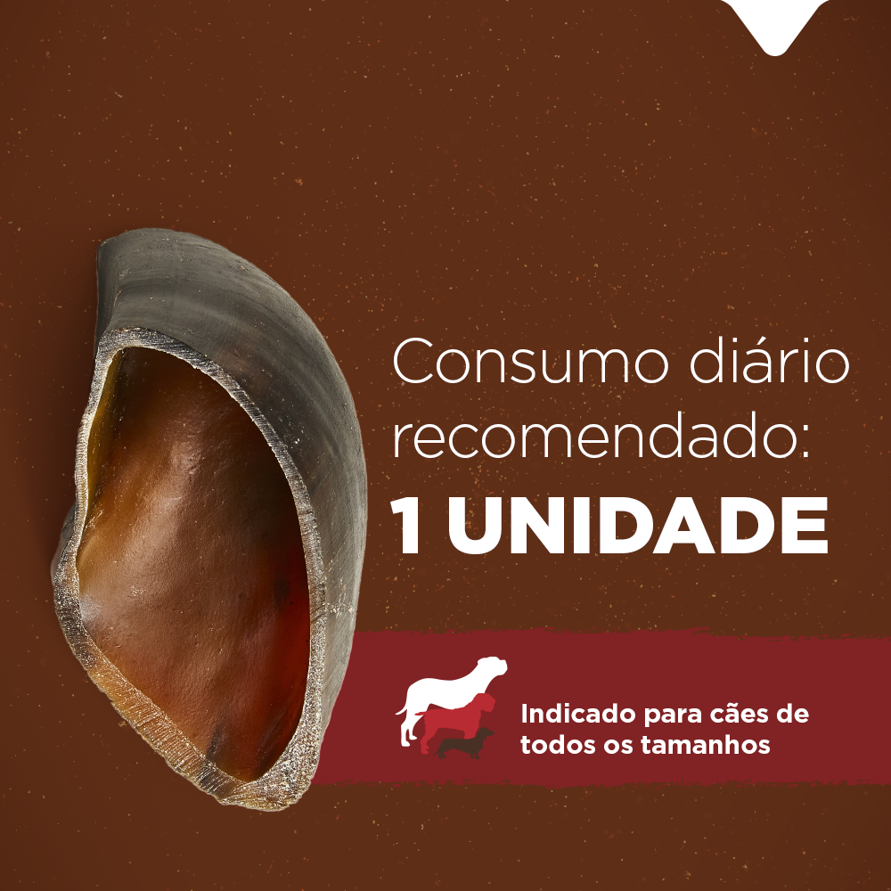 CASCO BOVINO