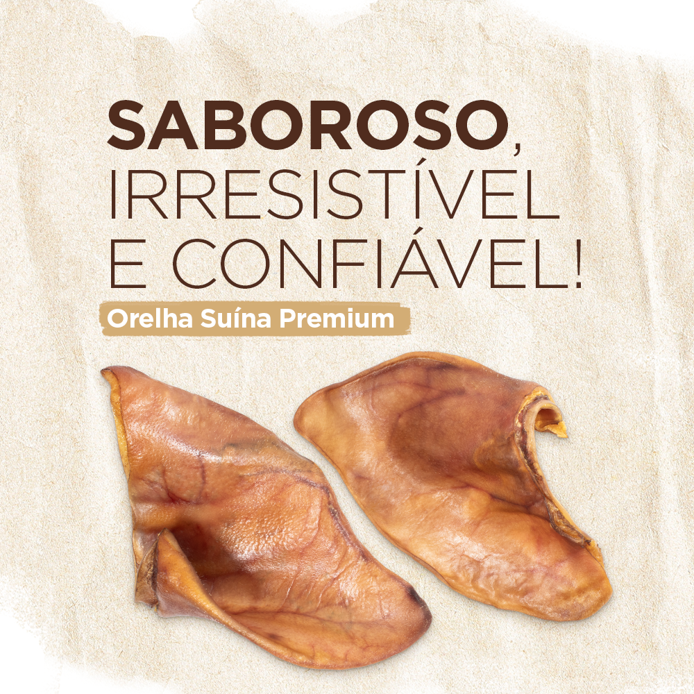 ORELHA SUINA