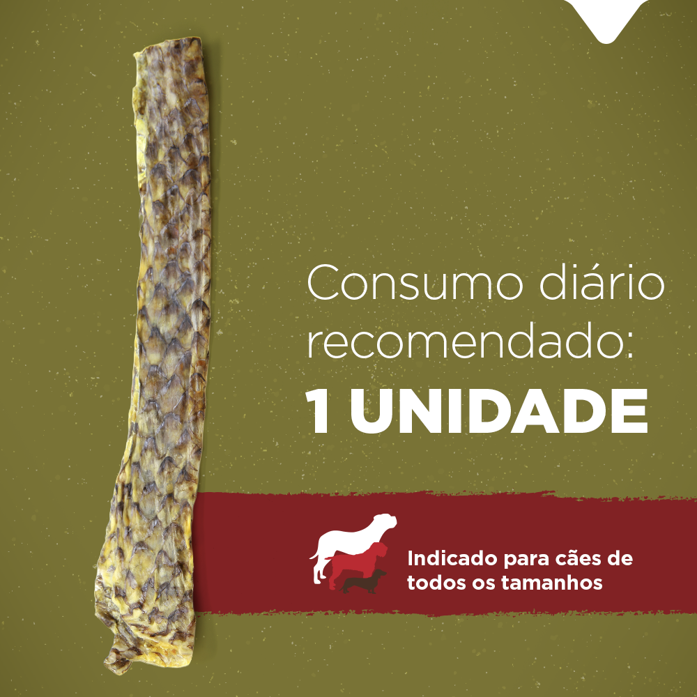 PELE DE TILÁPIA