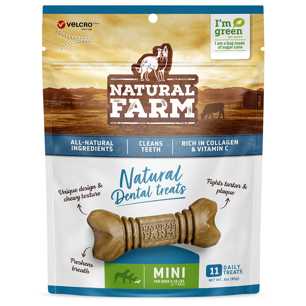 PACOTE SNACK DENTAL MINI