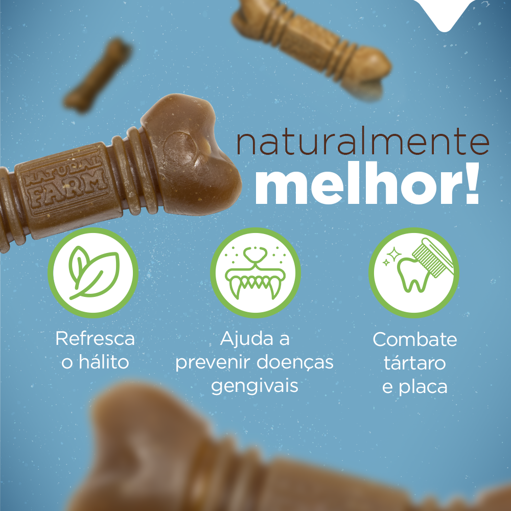 PACOTE SNACK DENTAL MINI