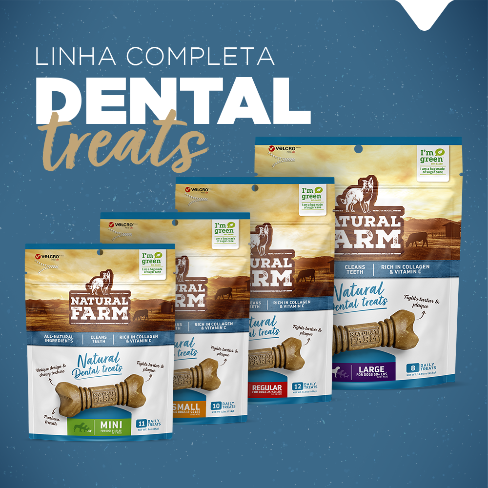 PACOTE SNACK DENTAL MINI