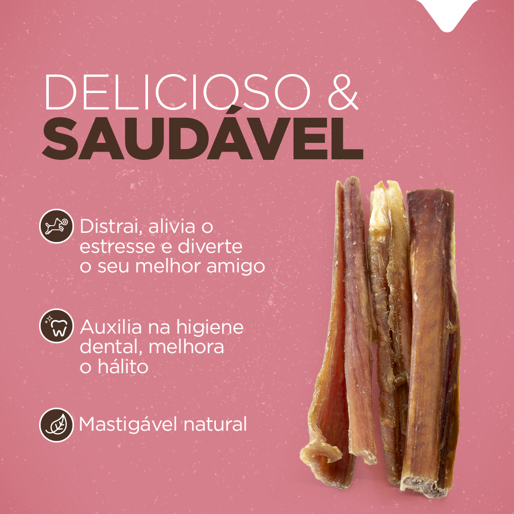 BEXIGA PALITO 4"