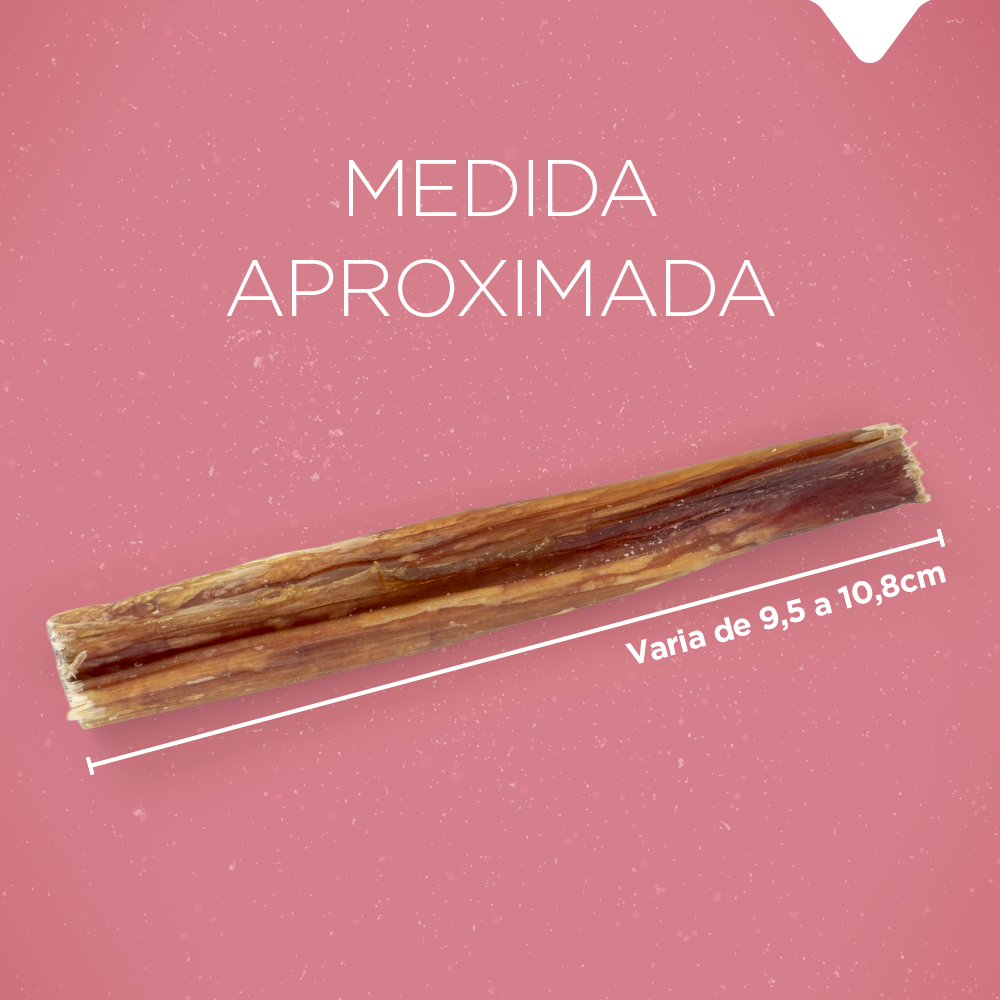 BEXIGA PALITO 4"