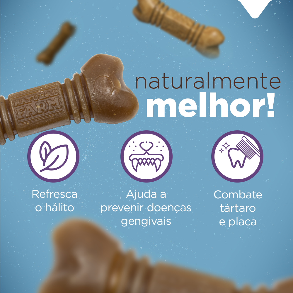 PACOTE SNACK DENTAL GRANDE