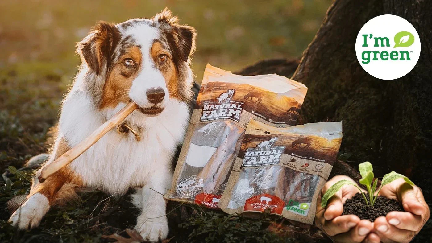 Mastigáveis que fazem bem para o seu pet e também para o mundo