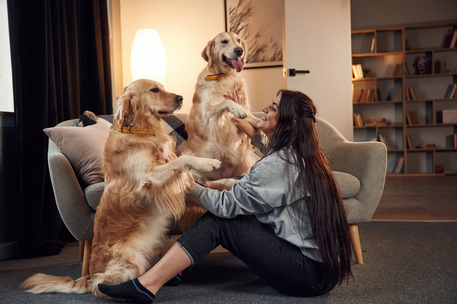 Rotina saudável para cães: 5 hábitos simples que fazem diferença