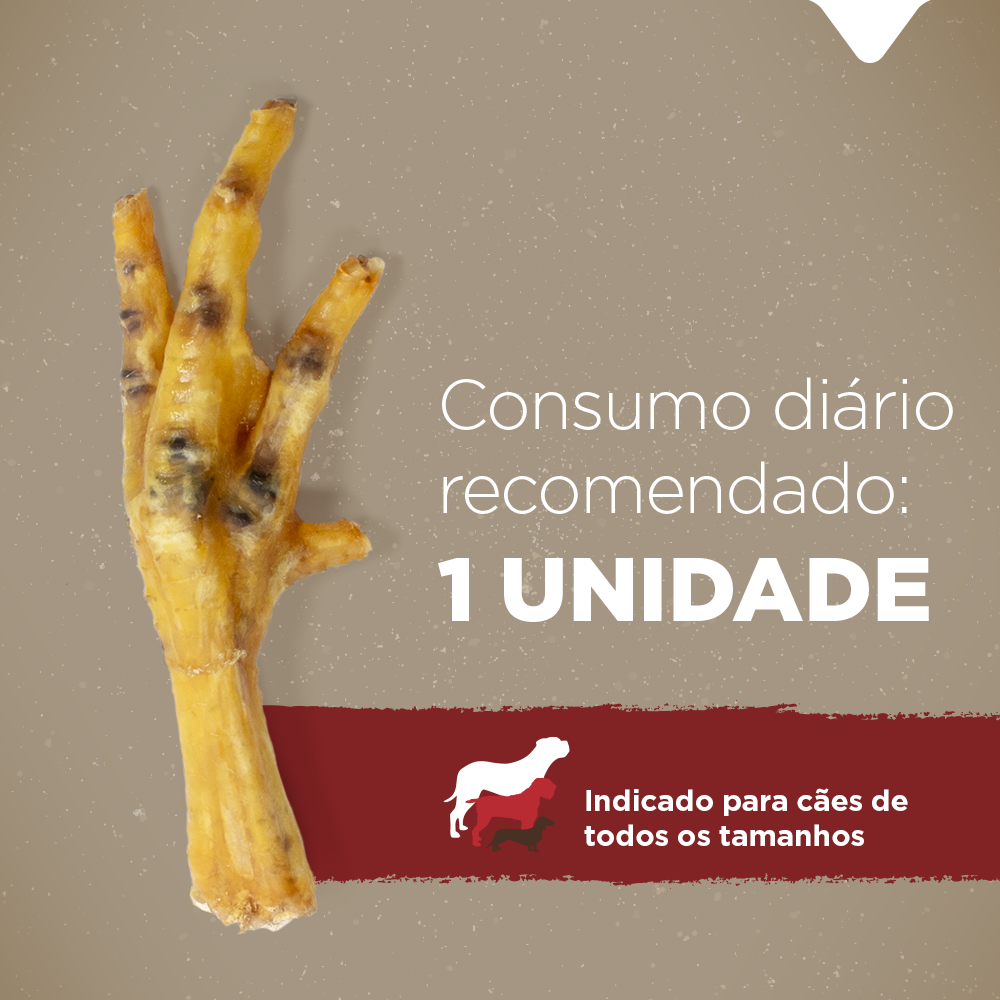 PÉ DE FRANGO