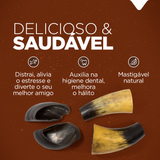 MIX CASCO E CHIFRE BOVINO