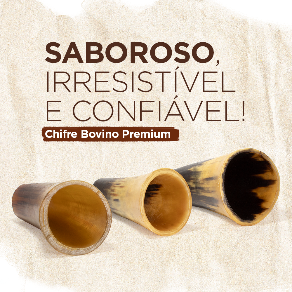 CHIFRE BOVINO