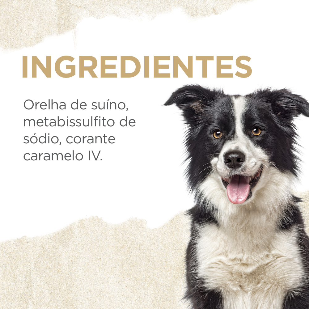 BITES DE ORELHA SUÍNA