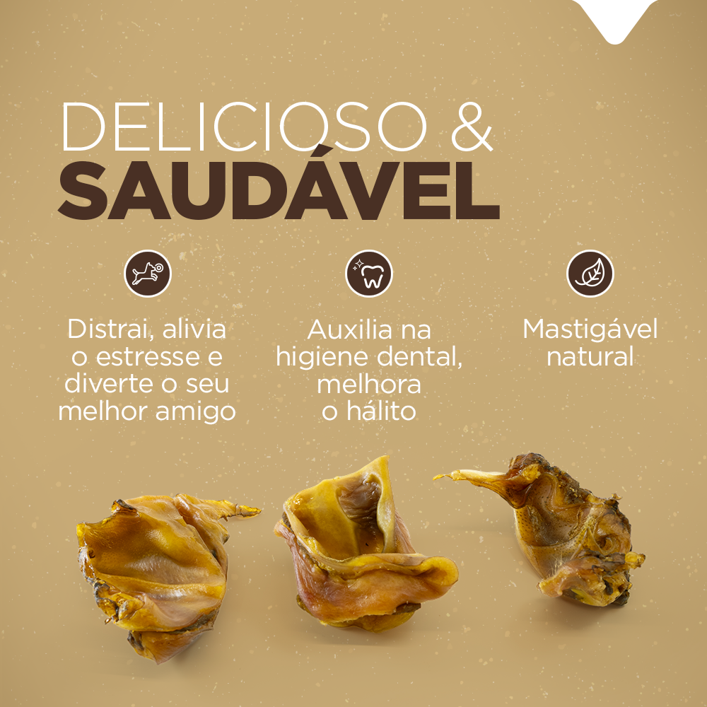 BITES DE ORELHA SUÍNA