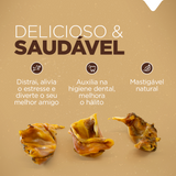 BITES DE ORELHA SUÍNA