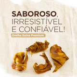 BITES DE ORELHA SUÍNA