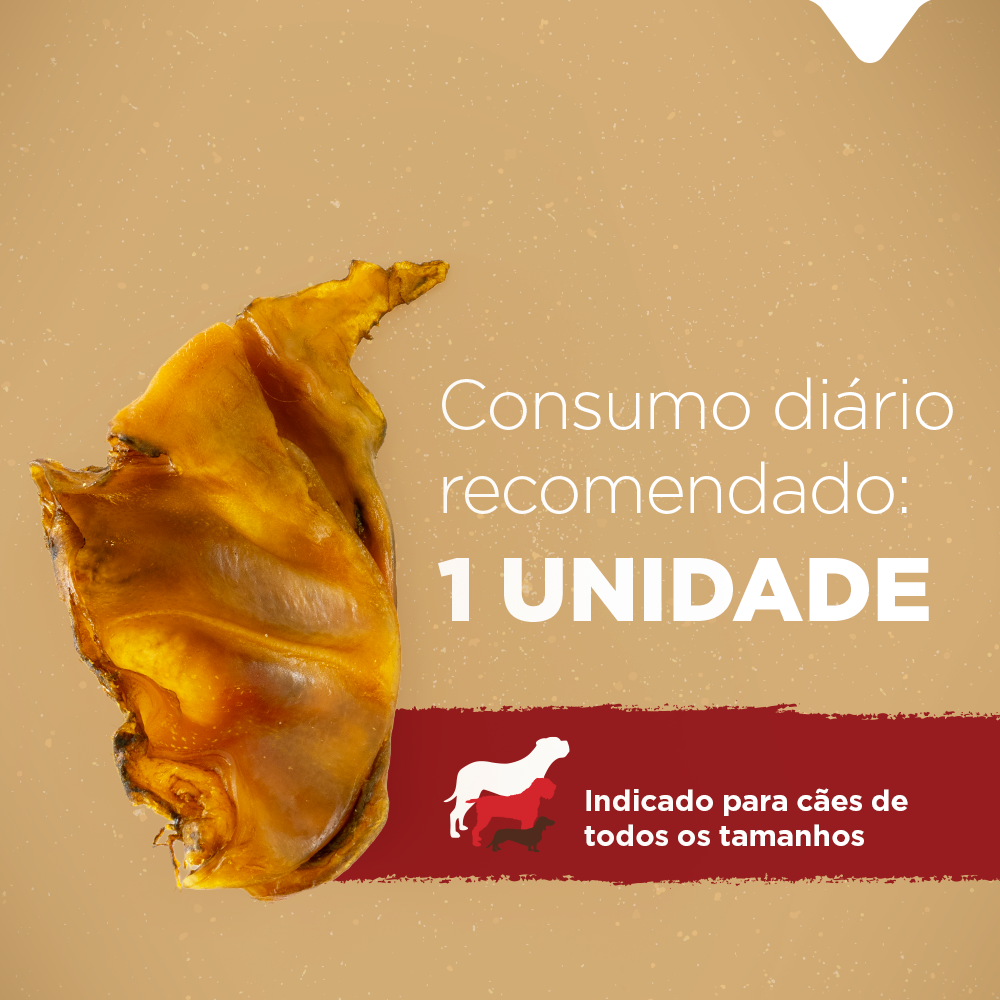 BITES DE ORELHA SUÍNA