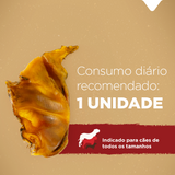 BITES DE ORELHA SUÍNA