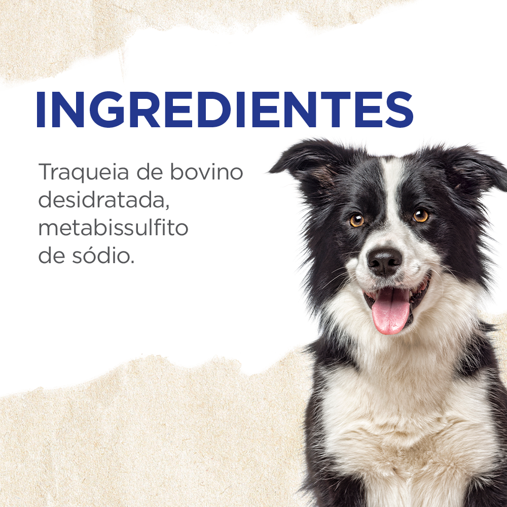 TRAQUEIA BOVINA 3"