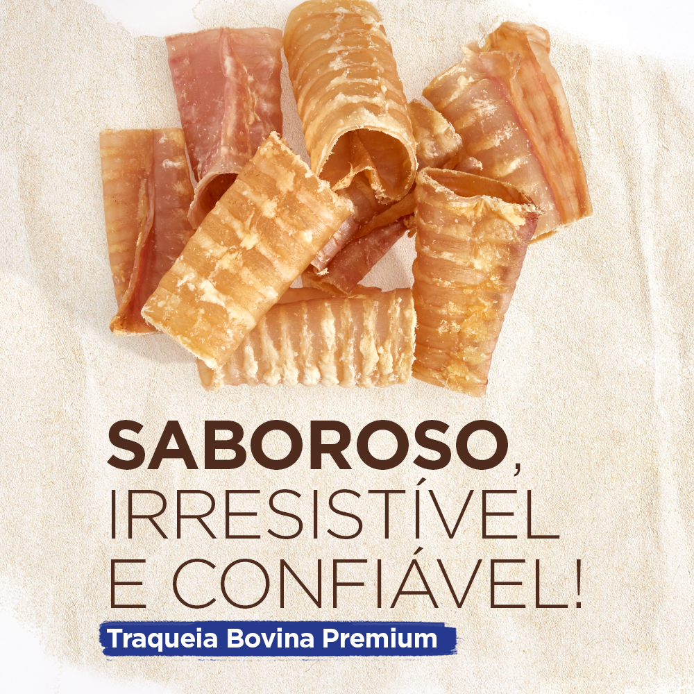 TRAQUEIA BOVINA 3"