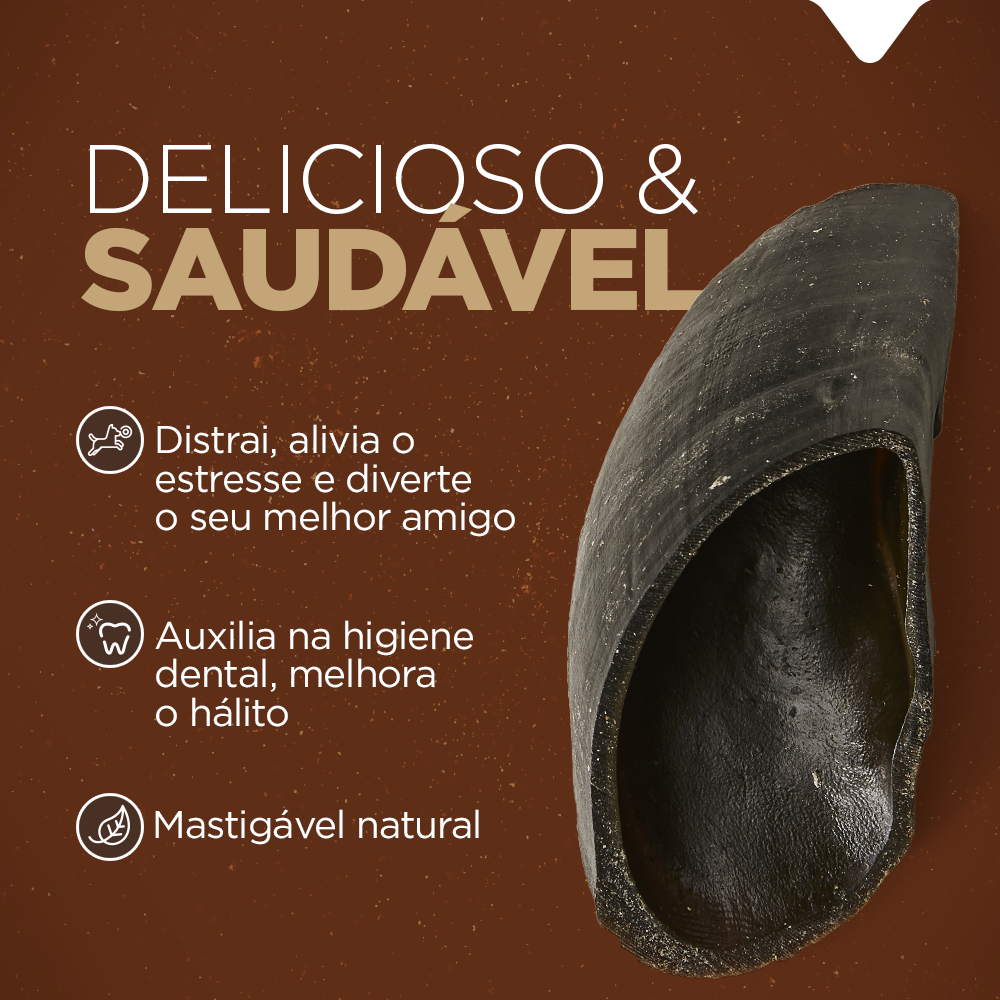 CASCO BOVINO