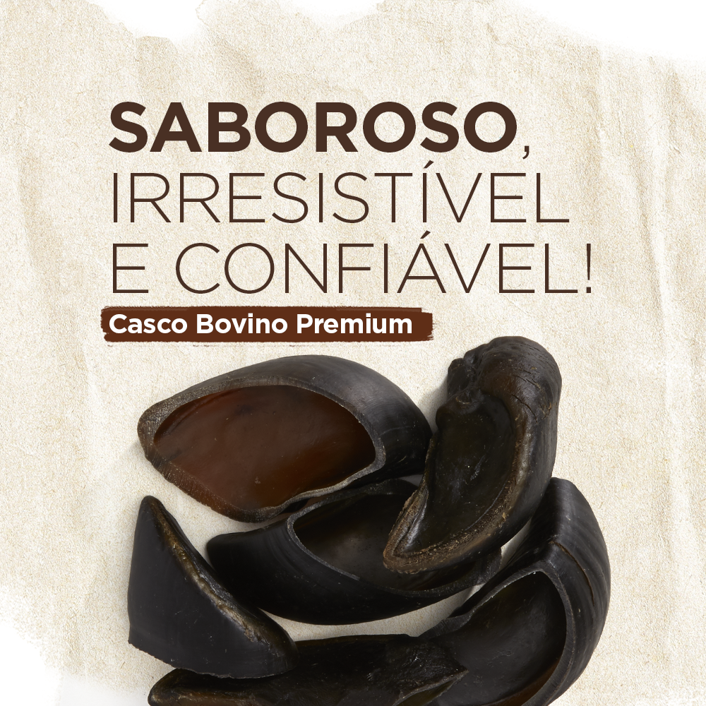 CASCO BOVINO