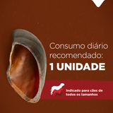 CASCO BOVINO