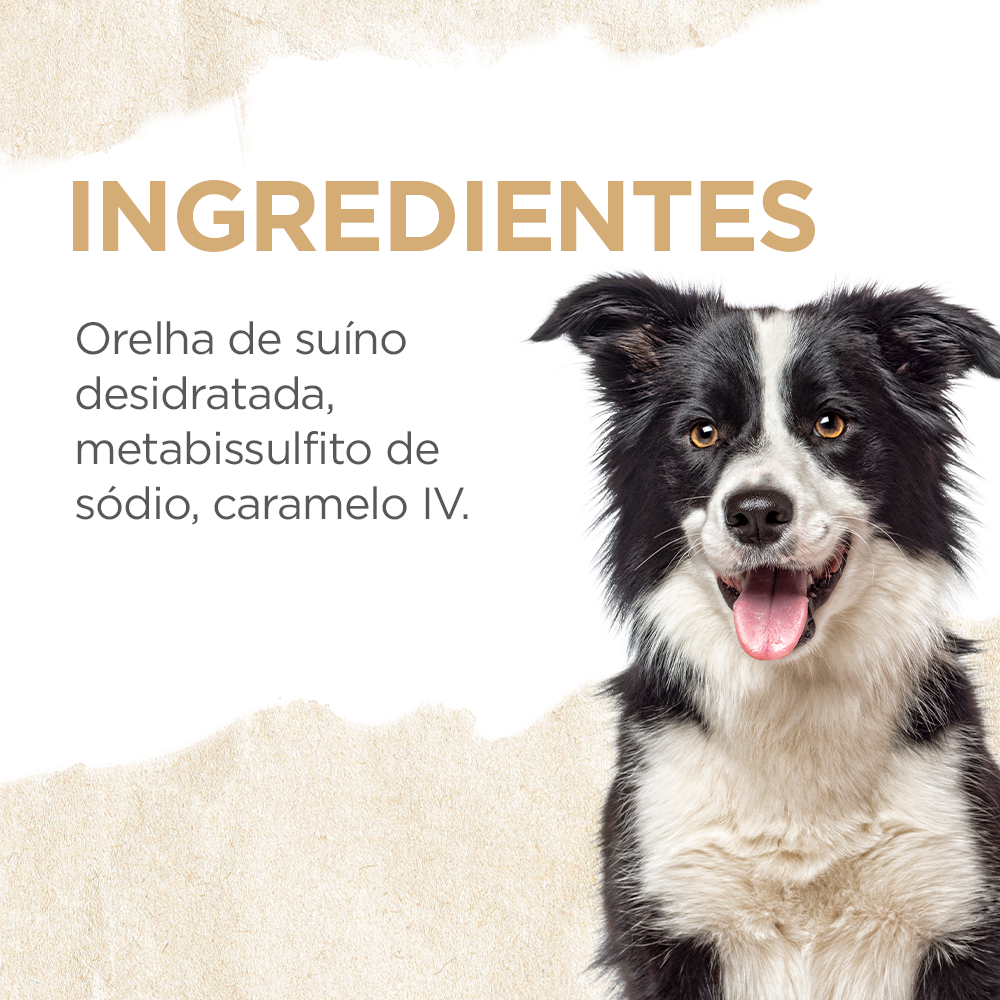 ORELHA SUINA