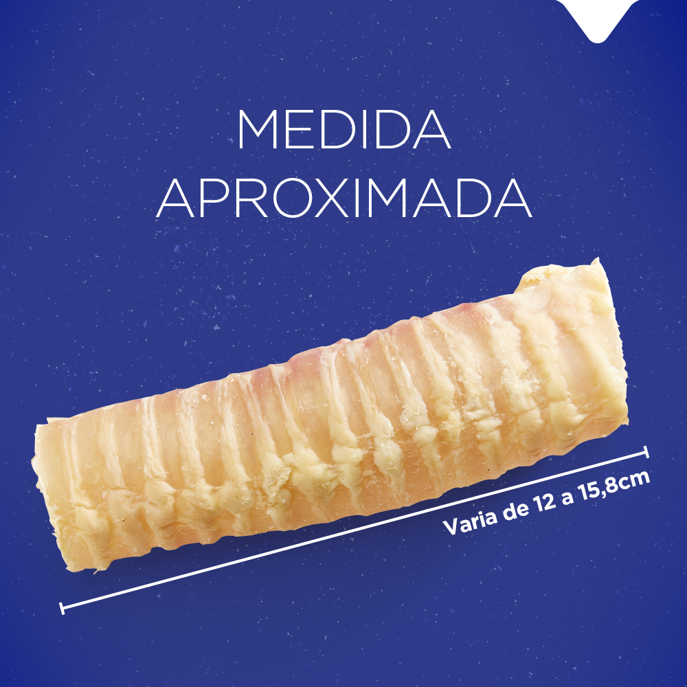 TRAQUEIA BOVINA 4/6"