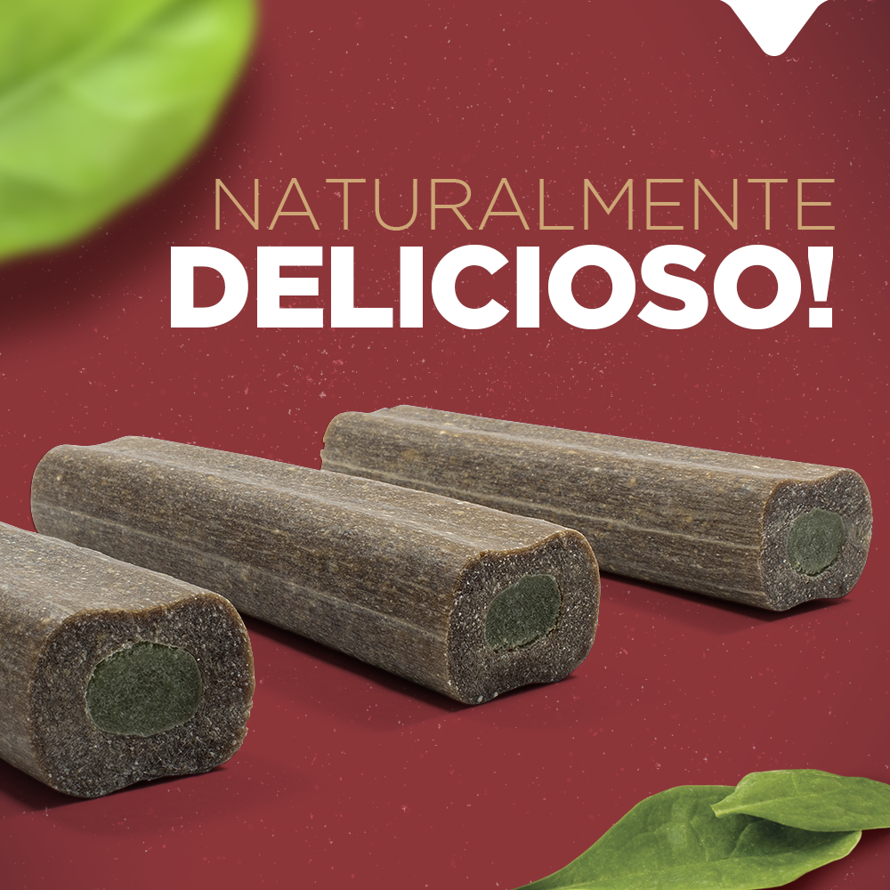 PACOTE NATBONES CARNE