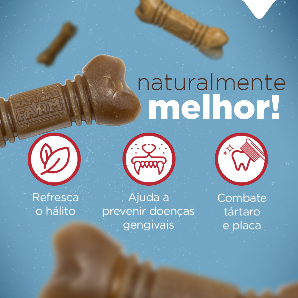 PACOTE SNACK DENTAL REGULAR
