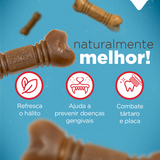 PACOTE SNACK DENTAL REGULAR