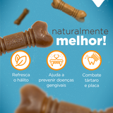 PACOTE SNACK DENTAL PEQUENO