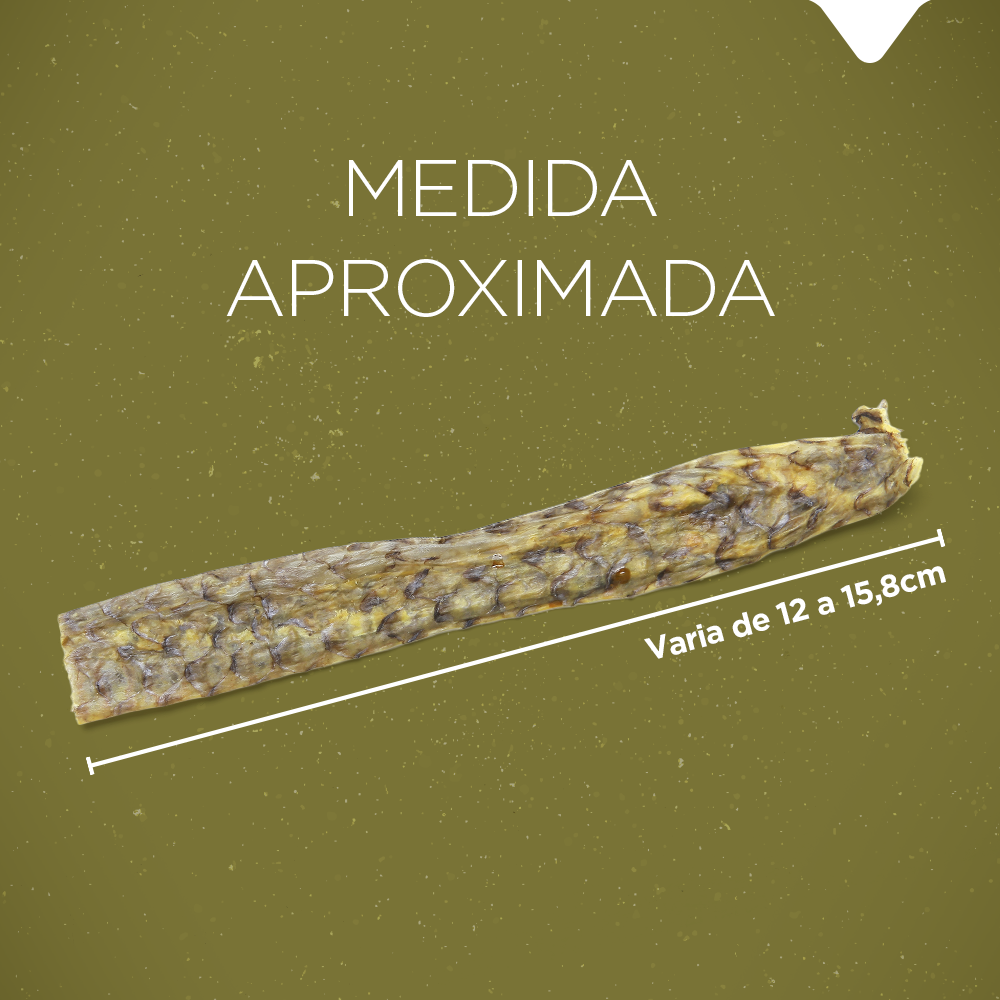 PELE DE TILÁPIA