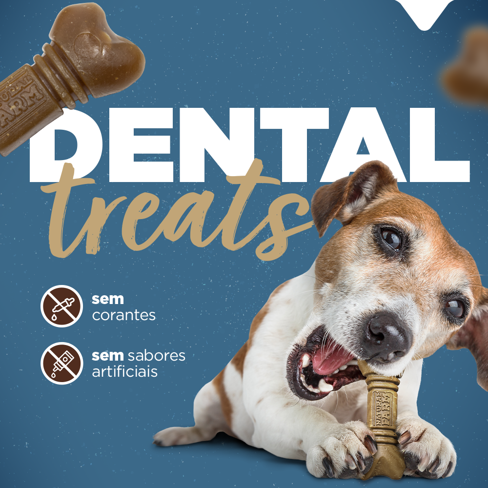 PACOTE SNACK DENTAL MINI