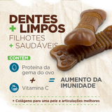 PACOTE SNACK DENTAL MINI