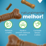 PACOTE SNACK DENTAL MINI