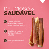 BEXIGA PALITO 4"