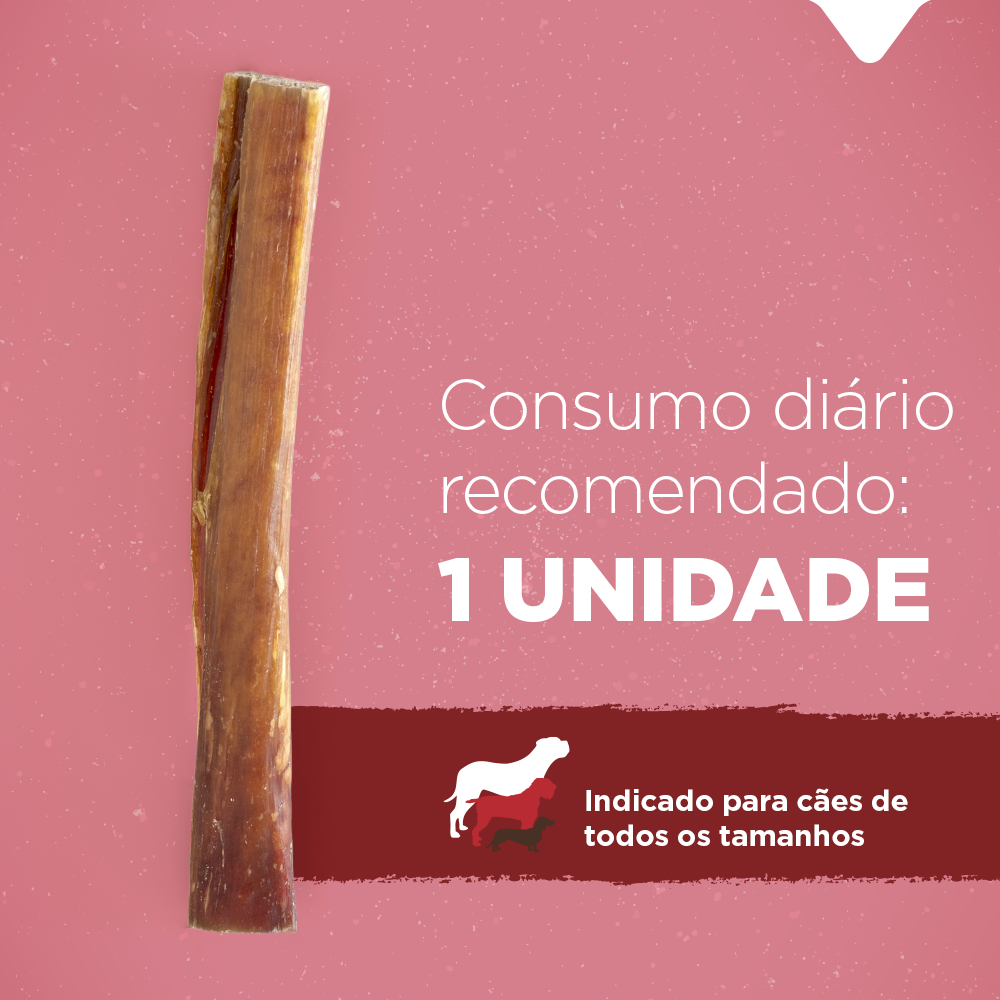 BEXIGA PALITO 4"