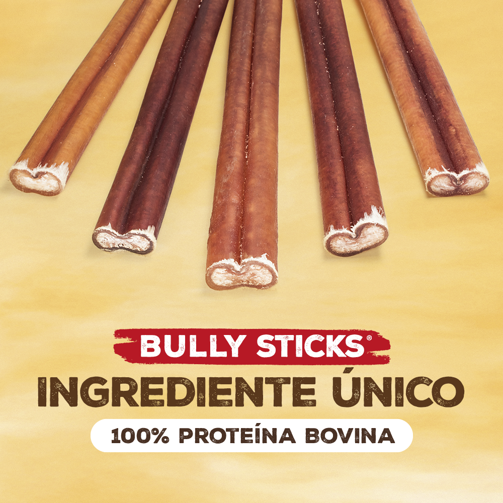 BULLY STICKS®